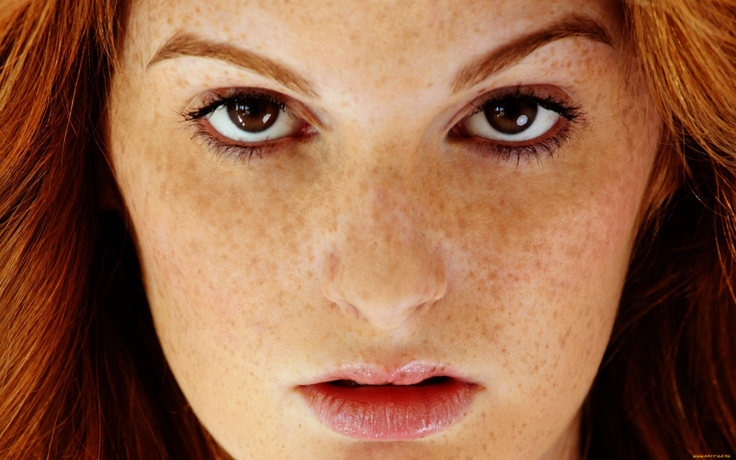 , faye reagan, , , , , , , , 
